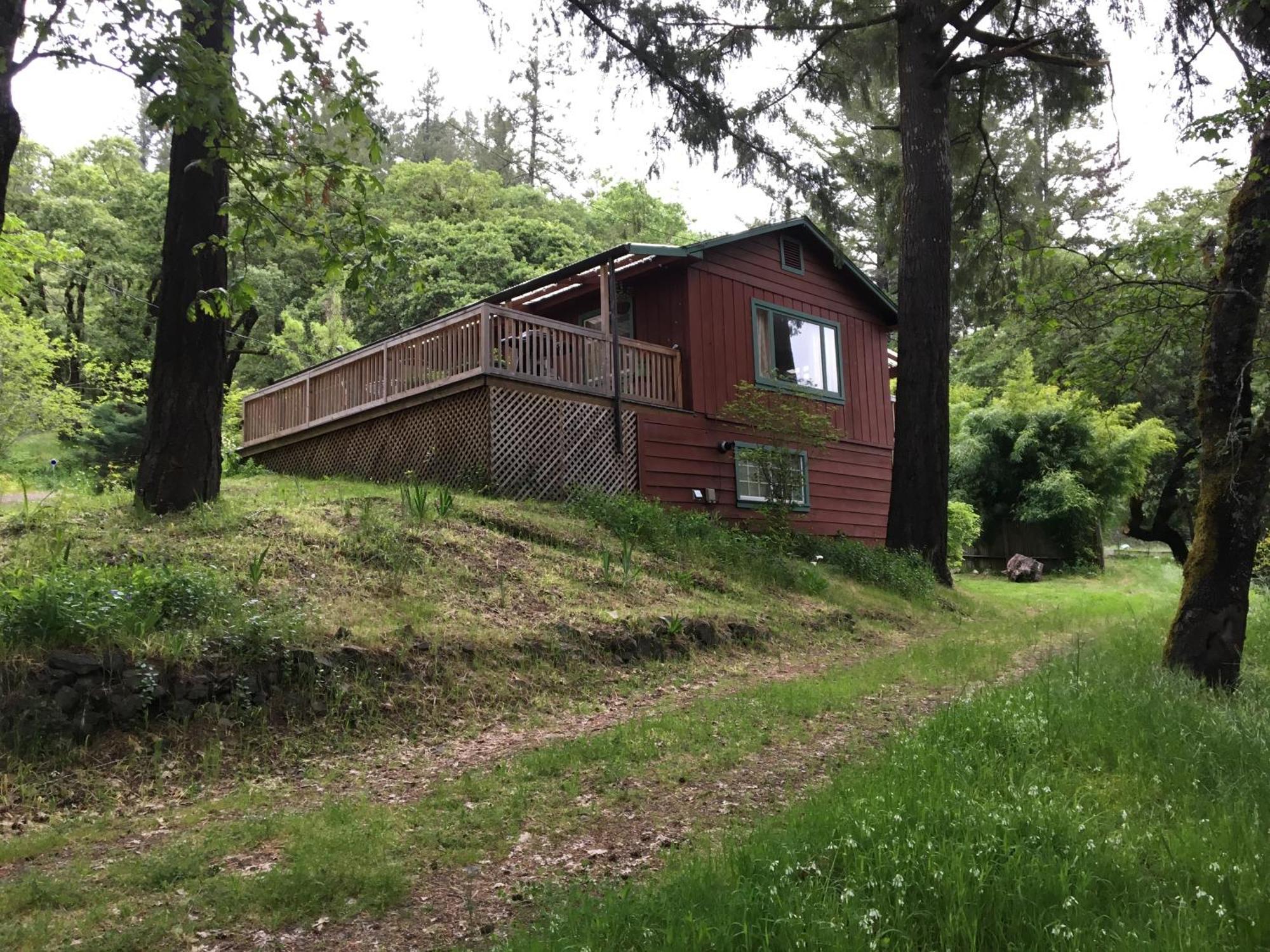 Avenue Of The Giants Caraway Cottage Miranda Экстерьер фото