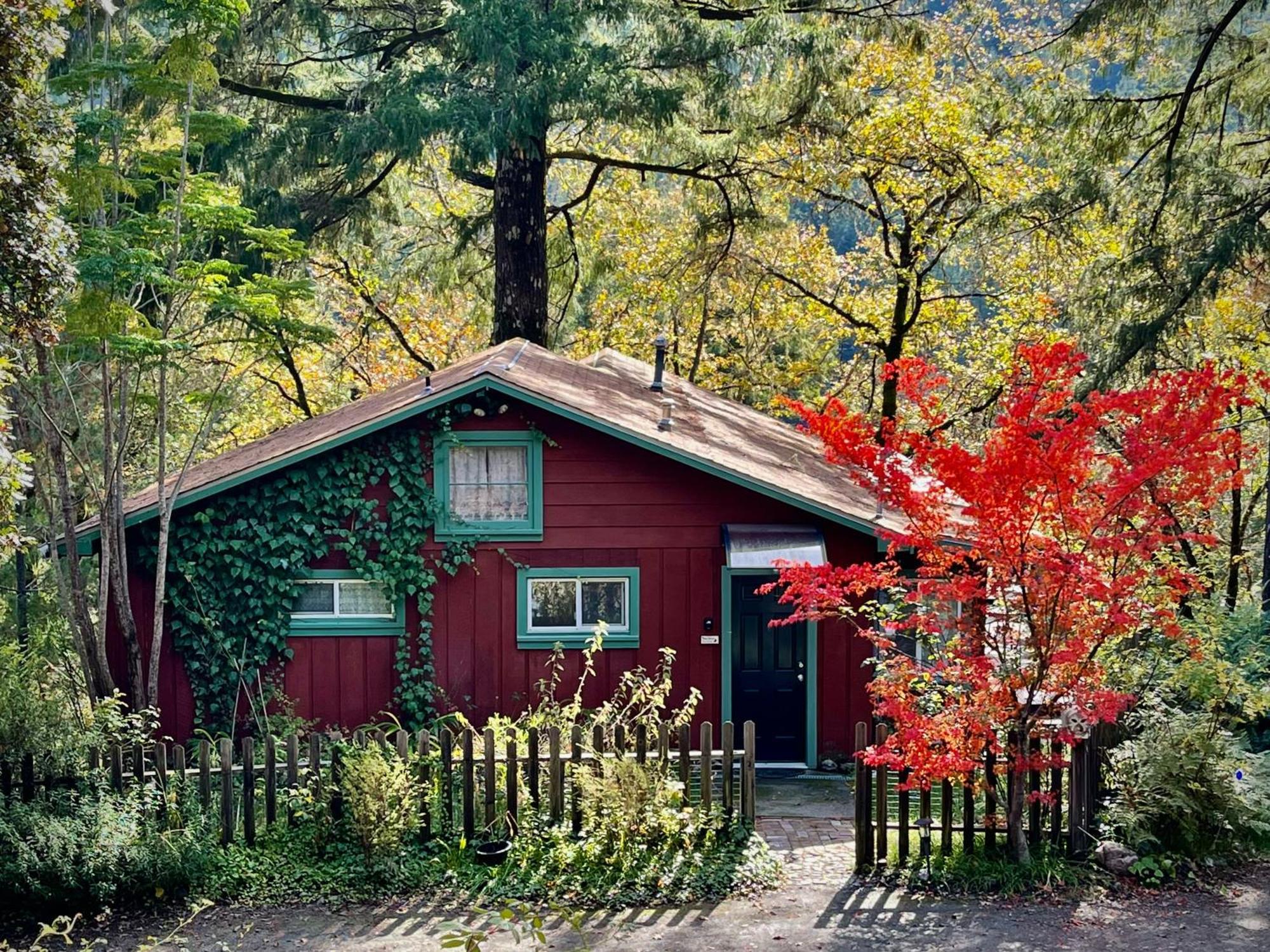 Avenue Of The Giants Caraway Cottage Miranda Экстерьер фото
