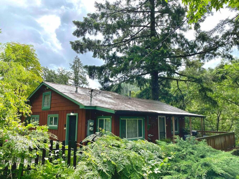 Avenue Of The Giants Caraway Cottage Miranda Экстерьер фото