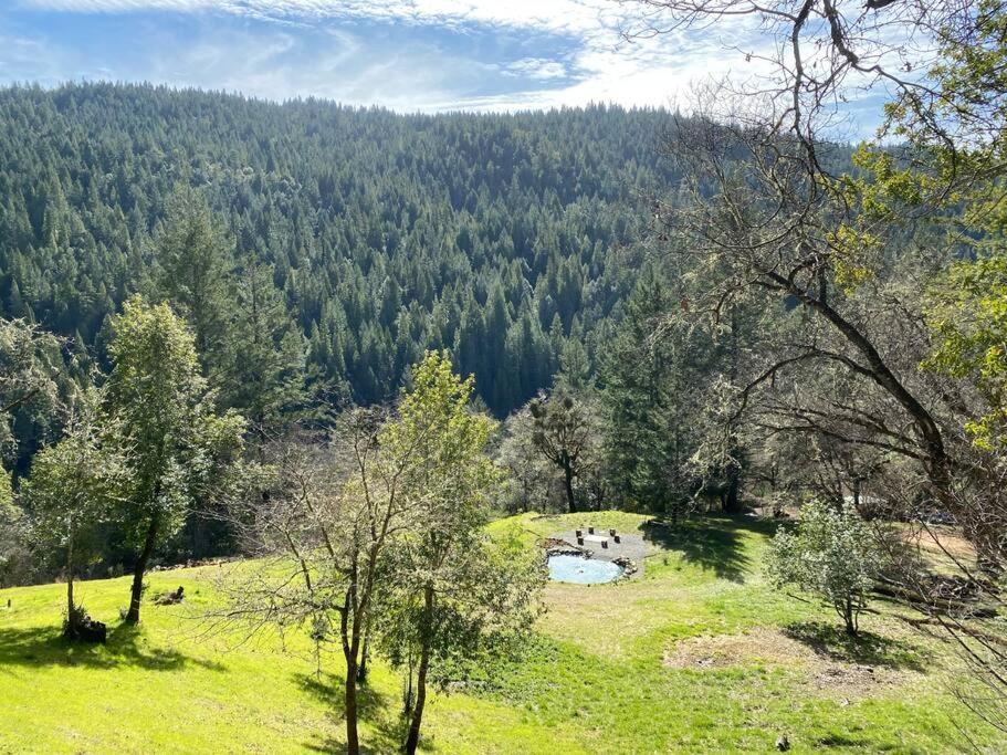 Avenue Of The Giants Caraway Cottage Miranda Экстерьер фото