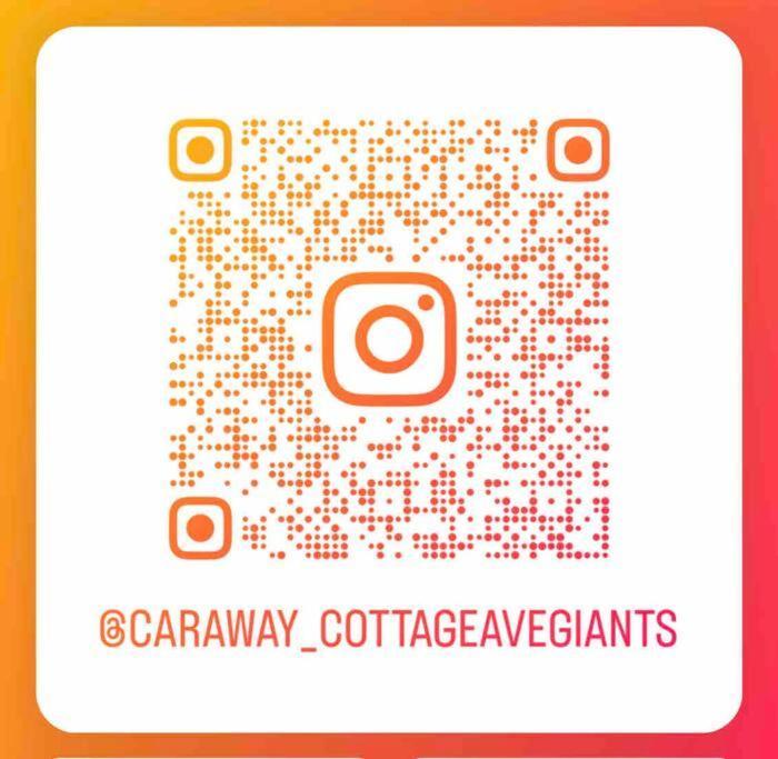 Avenue Of The Giants Caraway Cottage Miranda Экстерьер фото