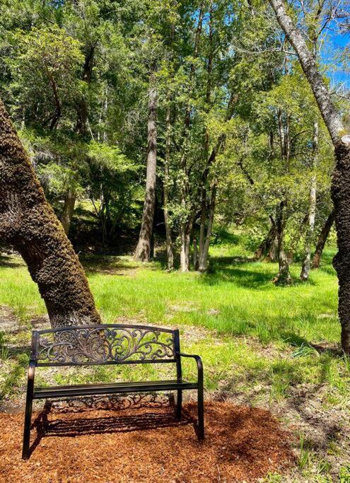 Avenue Of The Giants Caraway Cottage Miranda Экстерьер фото