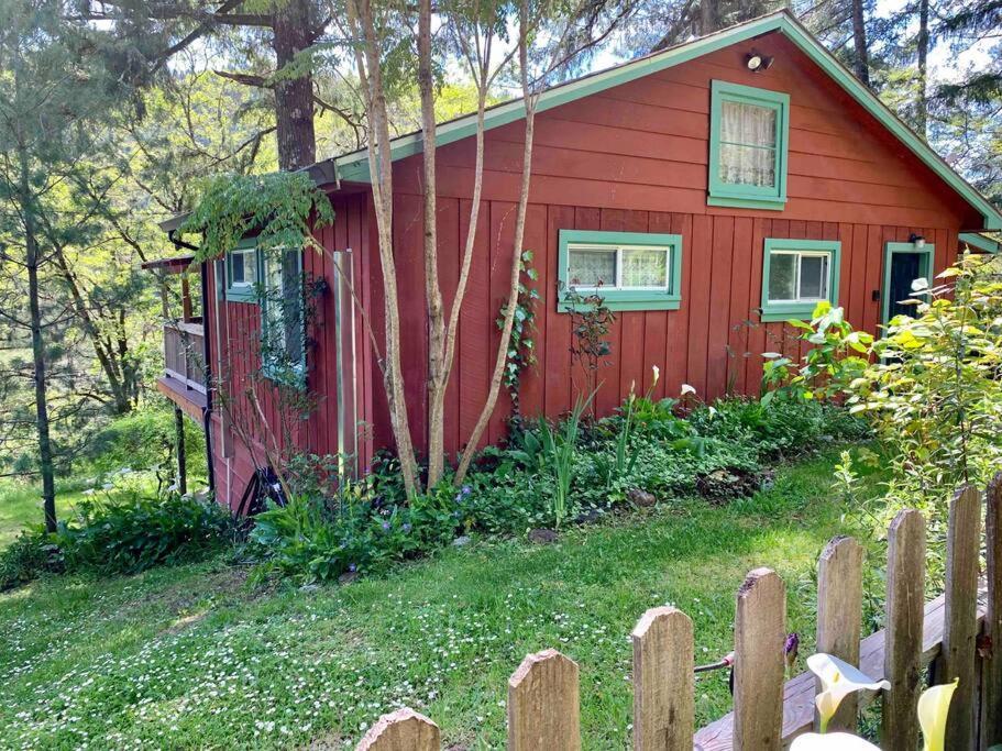 Avenue Of The Giants Caraway Cottage Miranda Экстерьер фото