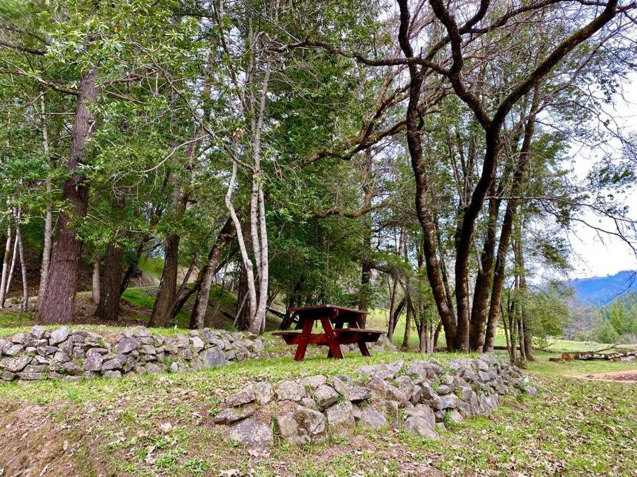 Avenue Of The Giants Caraway Cottage Miranda Экстерьер фото